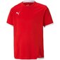 Puma marškinėliai berniukams Teamliga SW989507.8368, raudoni kaina ir informacija | Marškinėliai berniukams | pigu.lt