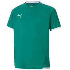 Puma marškinėliai berniukams TeamLIGA SW989508.8368, žali цена и информация | Рубашки для мальчиков | pigu.lt