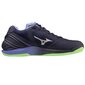 Rankinio batai vyrams Mizuno SW996451.1267, mėlyni цена и информация | Kedai vyrams | pigu.lt