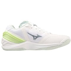 Rankinio batai moterims Mizuno SW996452.2686, balti цена и информация | Спортивная обувь, кроссовки для женщин | pigu.lt