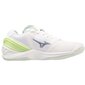 Rankinio batai moterims Mizuno SW996452.2686, balti kaina ir informacija | Sportiniai bateliai, kedai moterims | pigu.lt