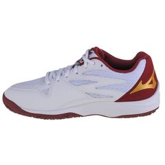 Tinklinio batai moterims Mizuno SW996209.2678, balti цена и информация | Спортивная обувь, кроссовки для женщин | pigu.lt