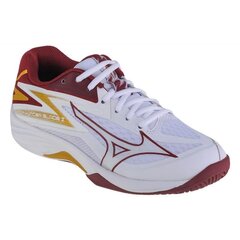 Tinklinio batai moterims Mizuno SW996209.2678, balti kaina ir informacija | Sportiniai bateliai, kedai moterims | pigu.lt