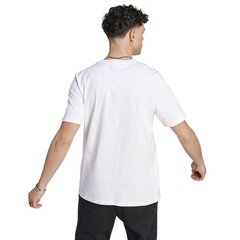 Adidas marškinėliai vyrams Big Logo SJ Tee M SW996443.1903, balti цена и информация | Мужские футболки | pigu.lt