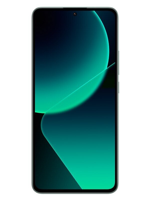 Xiaomi 13T Pro 5G 12/512GB MZB0EJYEU Meadow Green цена и информация | Mobilieji telefonai | pigu.lt