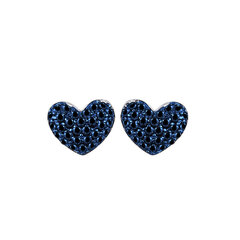 Moteriški mėlyni auskarai širdelės e075 цена и информация | Серьги | pigu.lt