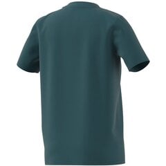 Adidas marškinėliai berniukams Bos smile HR8140 SW998179.8331, žali цена и информация | Рубашка для мальчиков | pigu.lt
