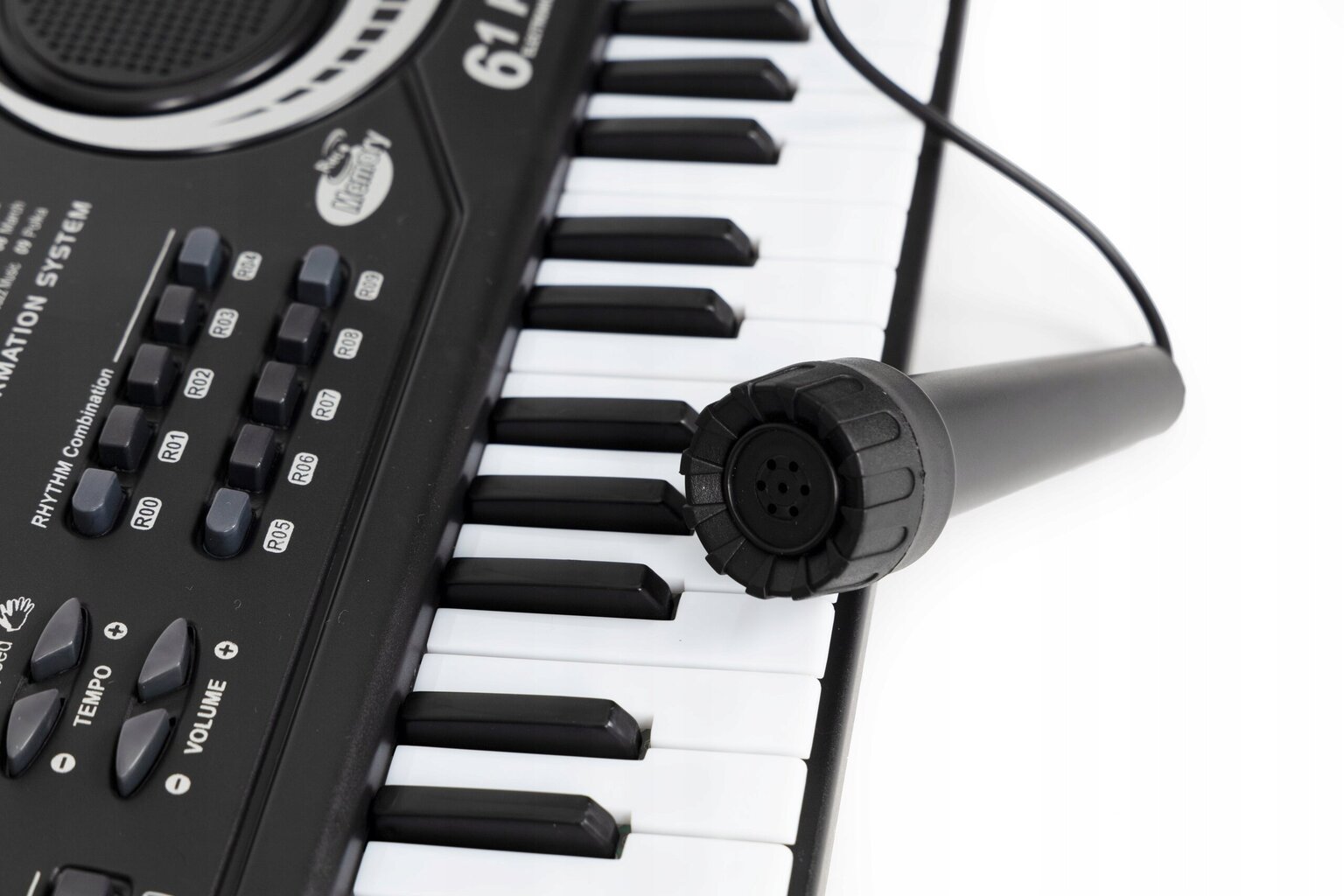 Vaikiškas klavišinis pianinas su mikrofonu Ecotoys kaina ir informacija | Lavinamieji žaislai | pigu.lt