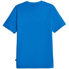 Marškinėliai vyrams Puma SW999693.5654, mėlyni kaina ir informacija | Vyriški marškinėliai | pigu.lt