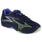 Tinklinio bateliai vyrams Mizuno SW996204.8076, mėlyni цена и информация | Kedai vyrams | pigu.lt