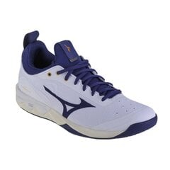 Tinklinio bateliai vyrams Mizuno SW996203.1349, balti kaina ir informacija | Kedai vyrams | pigu.lt