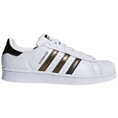 Laisvalaikio bateliai moterims Adidas Superstar W B41513, balti цена и информация | Спортивная обувь, кроссовки для женщин | pigu.lt