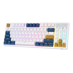 Mechanical keyboard Royal Kludge RK89 RGB, Lemon switch (white) kaina ir informacija | Klaviatūros | pigu.lt