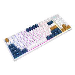 Mechanical keyboard Royal Kludge RK89 RGB, Lemon switch (white) kaina ir informacija | Klaviatūros | pigu.lt