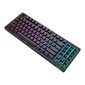Royal Kludge RK92 RGB mechaninė klaviatūra цена и информация | Klaviatūros | pigu.lt