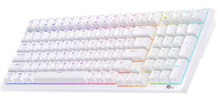 Mechanical keyboard Royal Kludge RK98 RGB, Red switch (blue) цена и информация | Клавиатуры | pigu.lt