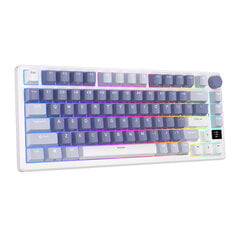 Mechanical keyboard Royal Kludge RKM75 RGB, Silver switch (blue) kaina ir informacija | Klaviatūros | pigu.lt