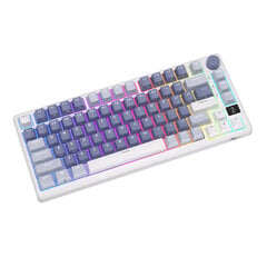 Mechanical keyboard Royal Kludge RKM75 RGB, Silver switch (blue) kaina ir informacija | Klaviatūros | pigu.lt