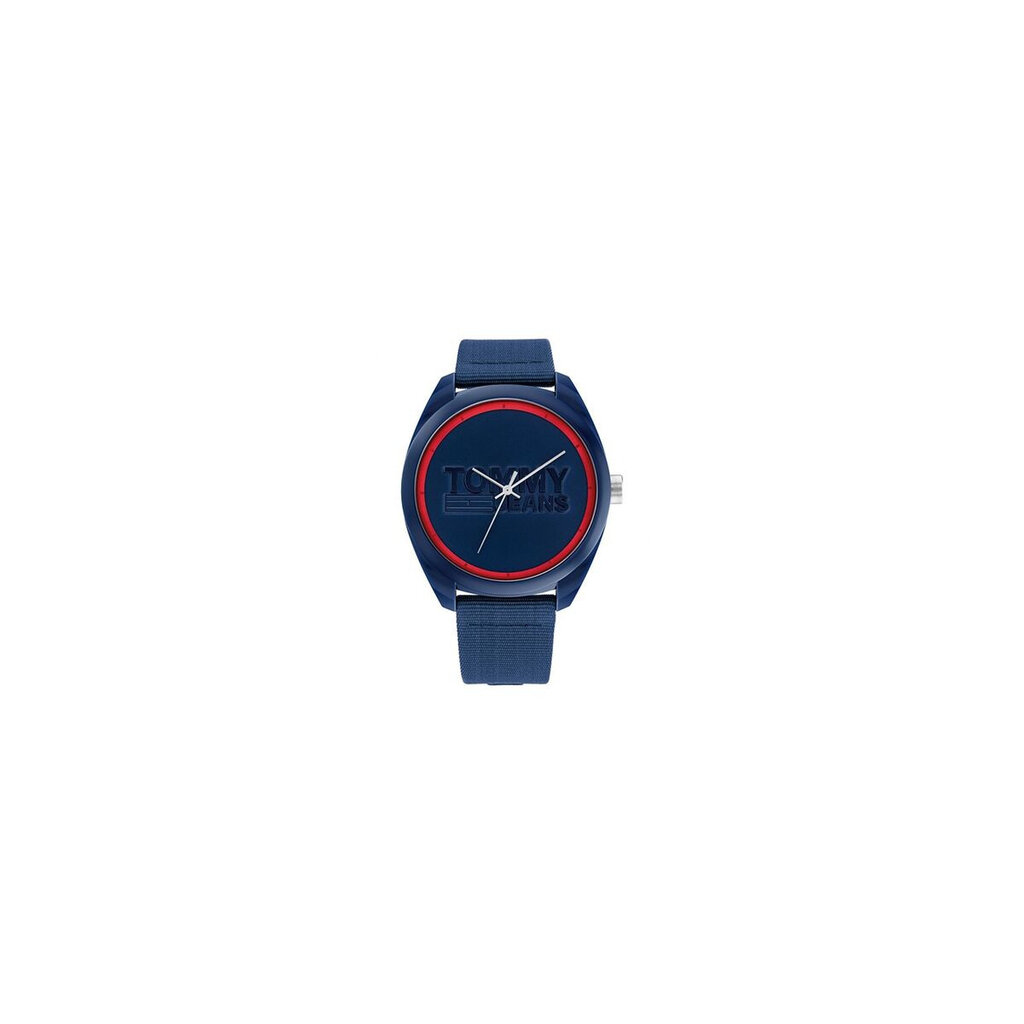 Men's Watch Tommy Hilfiger 1792041 (Ø 45 mm) цена и информация | Vyriški laikrodžiai | pigu.lt