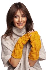 Pirštinės moterims BE Knit LKK171232.2942 цена и информация | Женские перчатки | pigu.lt