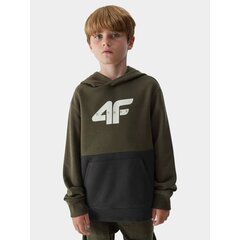 Megztinis berniukams 4F, juodas kaina ir informacija | Megztiniai, bluzonai, švarkai berniukams | pigu.lt