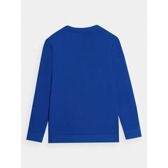 4F džemperis berniukams Jr SW1002761.6478, mėlynas цена и информация | Свитеры, жилетки, пиджаки для мальчиков | pigu.lt