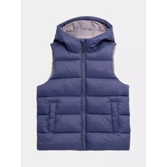 4F liemenė mergaitėms Jr SW1004548.6482, violetinė цена и информация | Куртки, пальто для девочек | pigu.lt