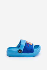 Šlepetės berniukams Rico 26185-8, mėlynos цена и информация | Детские тапочки, домашняя обувь | pigu.lt