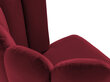 2-ių kėdžių komplektas Cosmopolitan Design Evora, raudonas kaina ir informacija | Virtuvės ir valgomojo kėdės | pigu.lt