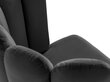 2-ių kėdžių komplektas Cosmopolitan Design Evora, pilkas kaina ir informacija | Virtuvės ir valgomojo kėdės | pigu.lt