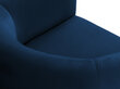 Fotelis Cosmopolitan Design Pelago, mėlynas цена и информация | Svetainės foteliai | pigu.lt