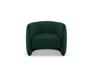 Кресло Cosmopolitan Design Pelago, зеленый цвет цена и информация | Кресла в гостиную | pigu.lt