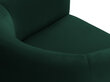 Fotelis Cosmopolitan Design Pelago, žalias kaina ir informacija | Svetainės foteliai | pigu.lt