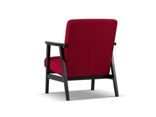 Кресло Cosmopolitan Design Tomar, красный/черный цвет цена и информация | Кресла в гостиную | pigu.lt
