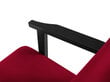 Fotelis Cosmopolitan Design Tomar, raudonas/juodas kaina ir informacija | Svetainės foteliai | pigu.lt