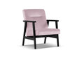 Fotelis Cosmopolitan Design Tomar, rožinis/juodas kaina ir informacija | Svetainės foteliai | pigu.lt