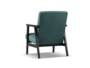 Кресло Cosmopolitan Design Tomar, зеленый/черный цвет цена и информация | Кресла в гостиную | pigu.lt