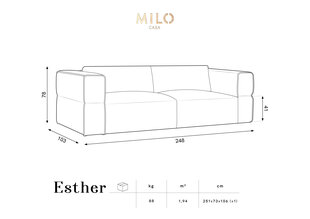 Sofa Milo Casa Esther, 248x103x78 cm, žalia kaina ir informacija | Sofos | pigu.lt