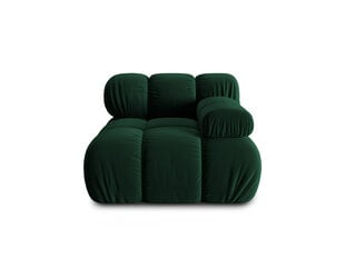 Кресло Milo Casa Tropea, зеленый цвет цена и информация | Кресла в гостиную | pigu.lt