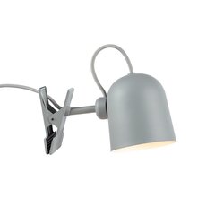 Nordlux Зажимная лампа Angle 2220362010 цена и информация | Настенные светильники | pigu.lt