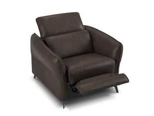 Кожаное кресло Windsor & Co Hubble, 100x96x76 см, темно-коричневый цвет цена и информация | Кресла в гостиную | pigu.lt