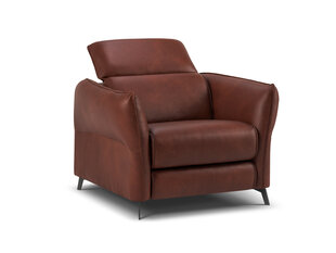 Кожаное кресло Windsor & Co Hubble, 100x96x76 см, коричневое цена и информация | Кресла в гостиную | pigu.lt