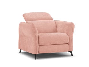 Кресло Windsor & Co Hubble, 100x96x76 см, розовый цвет цена и информация | Кресла в гостиную | pigu.lt