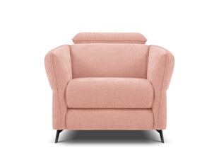 Кресло Windsor & Co Hubble, 100x96x76 см, розовый цвет цена и информация | Кресла в гостиную | pigu.lt