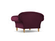 Fotelis Windsor & Co Juno, 132x96x91 cm, raudonas/aukso цена и информация | Svetainės foteliai | pigu.lt