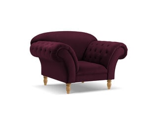 Кресло Windsor & Co Juno, 132x96x91 см, красный/золотой цвет цена и информация | Кресла в гостиную | pigu.lt