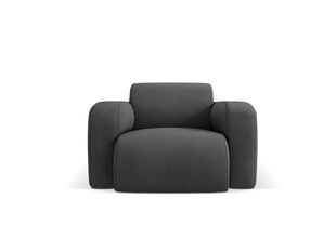 Кресло Windsor & Co Lola, серый цвет цена и информация | Кресла в гостиную | pigu.lt