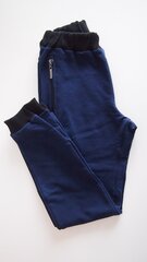 Kelnės vaikams Damianas wgA41385.8370, mėlynos цена и информация | Спортивные штаны для мальчиков | pigu.lt