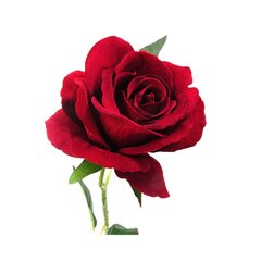 Dirbtinė rožės šakelė, 50 cm цена и информация | Искусственные цветы | pigu.lt