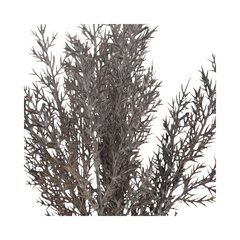 Dirbtinė kadagio puokštė, 38 cm цена и информация | Искусственные цветы | pigu.lt